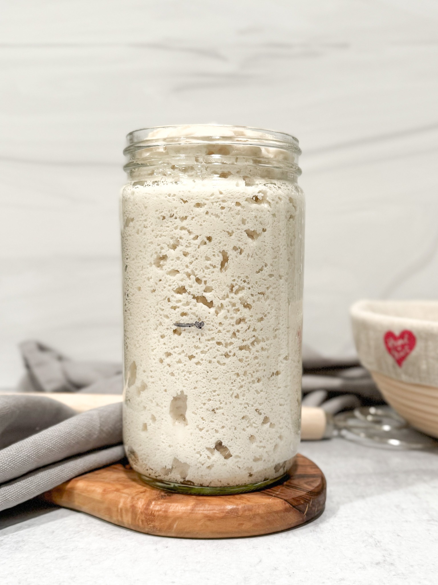 gluten-free-sourdough-starter-dehydrated-quickstart